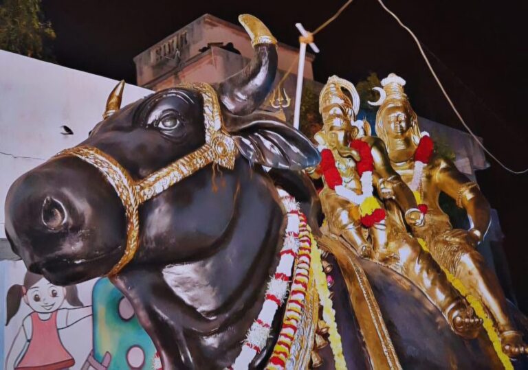 કાયાવરોહણ ખાતે યુવા સંગઠન દ્વારા શિવજી કી સવારીની તડામાર તૈયારીઓ