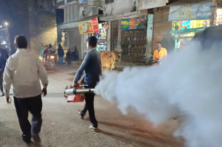 ડભોઇ મેલેરીયા શાખાની ટીમ દ્વારા રાત્રિના ફોર્ગિંગ મશીન દ્વારા દવાનો છંટકાવ