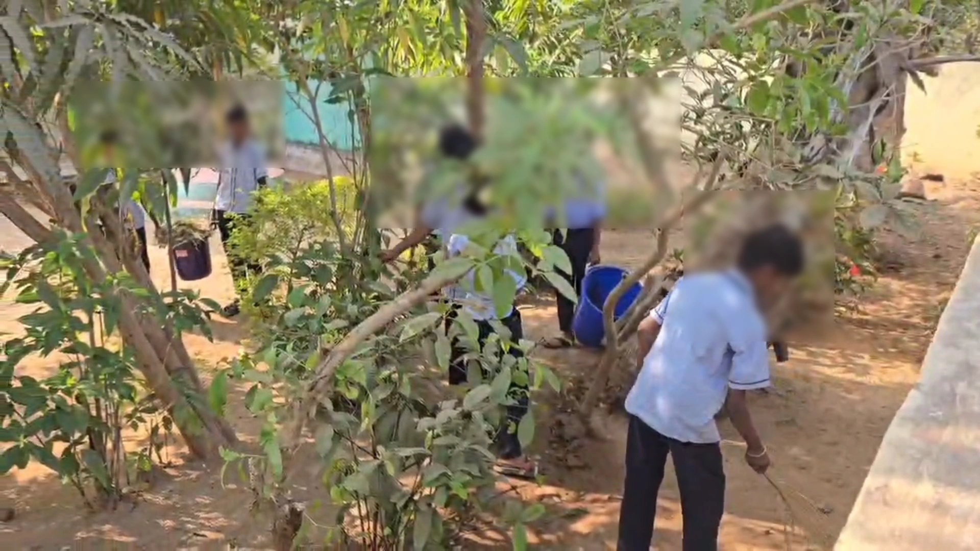 આ રીતે ભણશે ગુજરાત ? બોડેલીના ઓરવાડા ગામની પ્રાથમિક શાળામાં ચોંકાવનારો દ્રશ્ય: બાળકોના હાથમાં ચોપડી નહીં, ઝાડું!