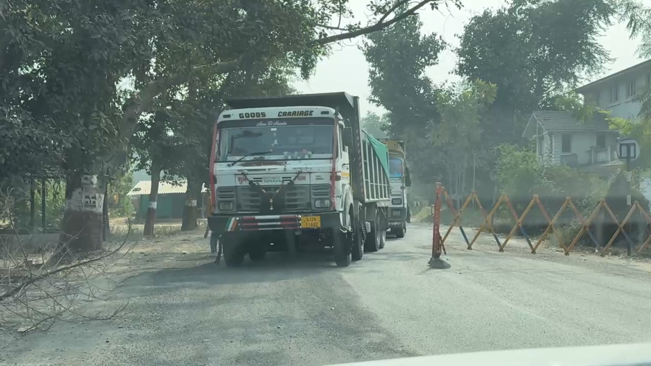 ગુજરાતમાં વાઘના જીવ પર જોખમ: વન્યજીવ કોરિડોરમાં રાત્રે બેફામ રેતીના ડમ્પરો